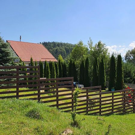 Casa Carpati Apartman Zărneşti Kültér fotó